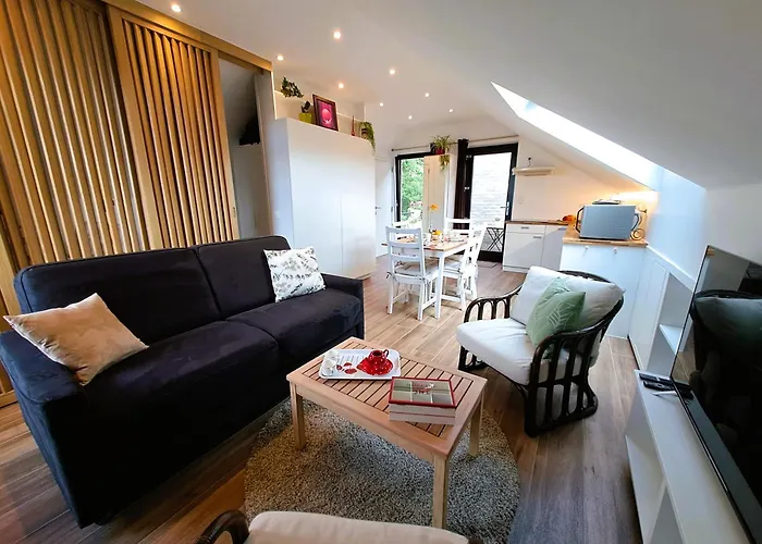 Studio 4 Pers Avec Balcon Et Jardin